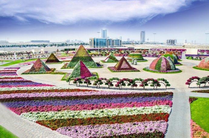 Вид на парк цветов в Дубае, ОАЭ