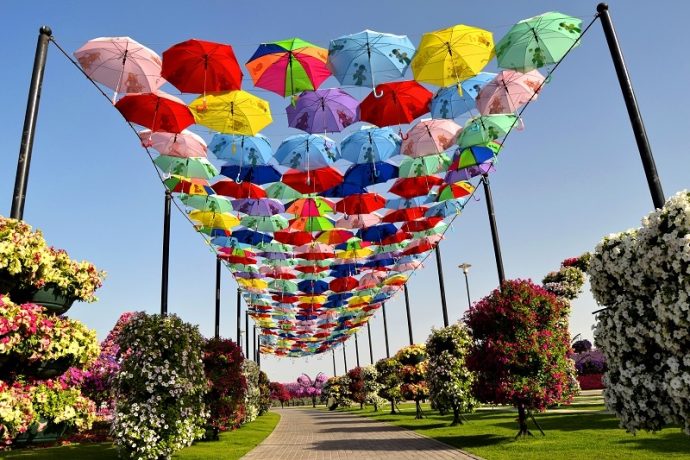 Навес из зонтов в парке цветов в Дубае, ОАЭ