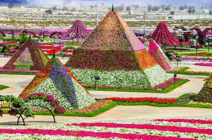 Цветочные пирамиды в парке цветов в Дубае, ОАЭ