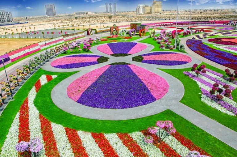 Невероятные композиции из цветов в парке в Дубае, ОАЭ