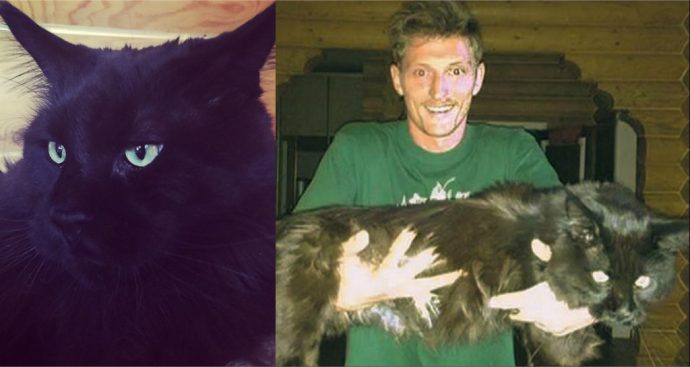 Павел воля держит на руках своего кота Бумера