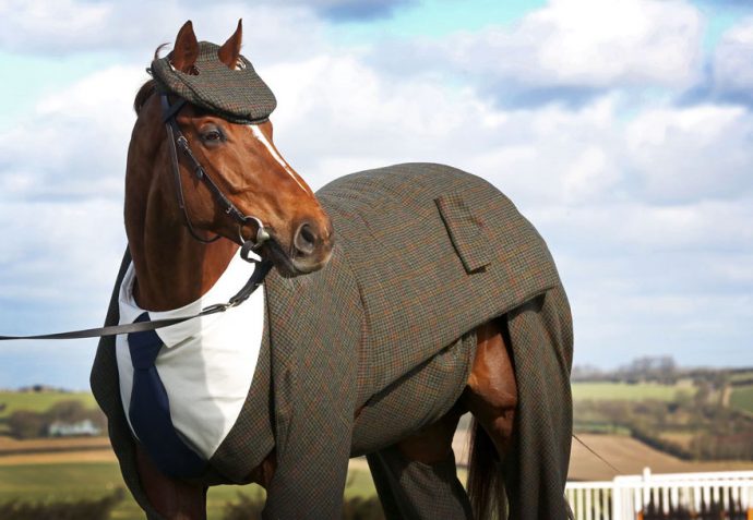 three-piece-tweed-horse-suit