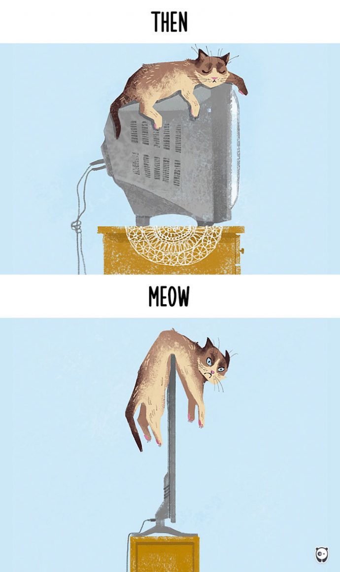 cats-then-now
