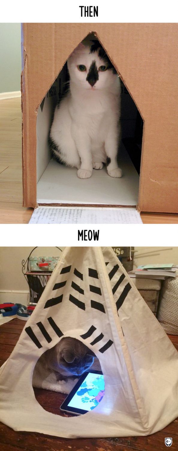 cats-then-now рис 10