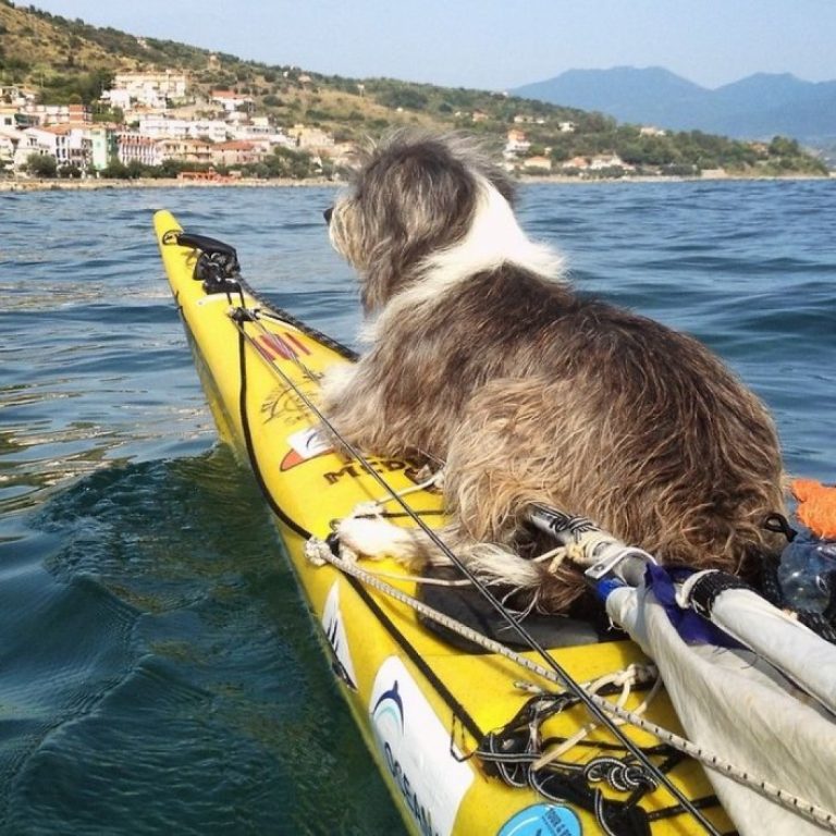 Испанец путешествует на лодке с собакой