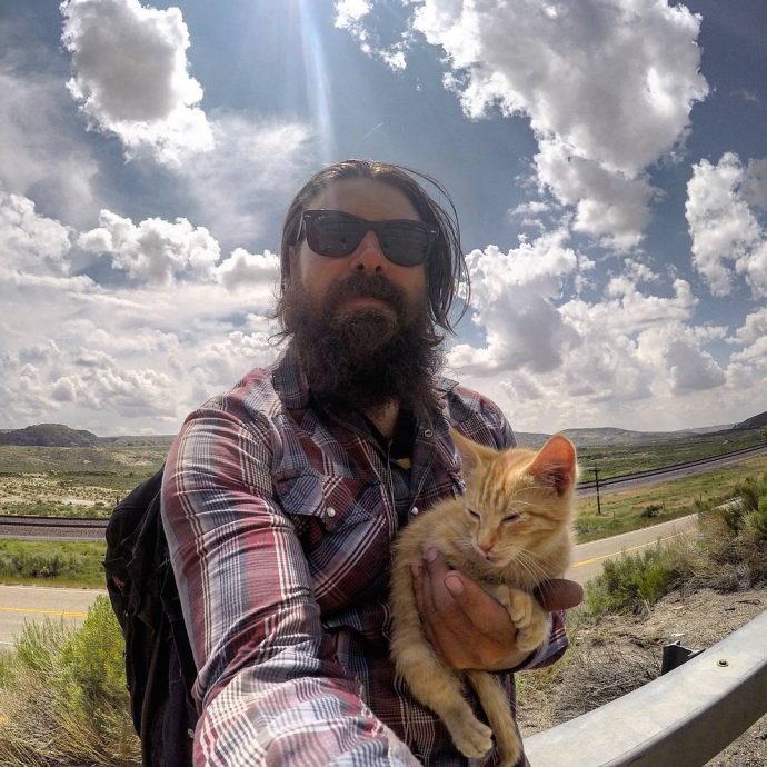 selfie with a kitten