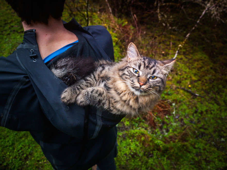 these-kittens-were-abandoned-but-now-go-on-epic-adventures-with-us-5__880