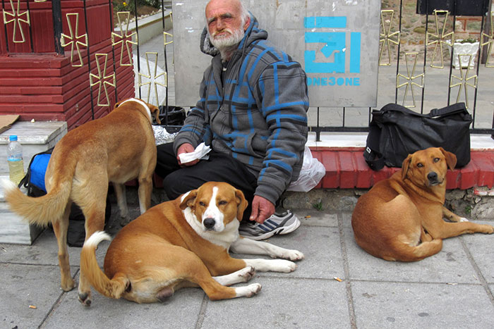 homeless-dogs-unconditional-love-best-friend-49__700