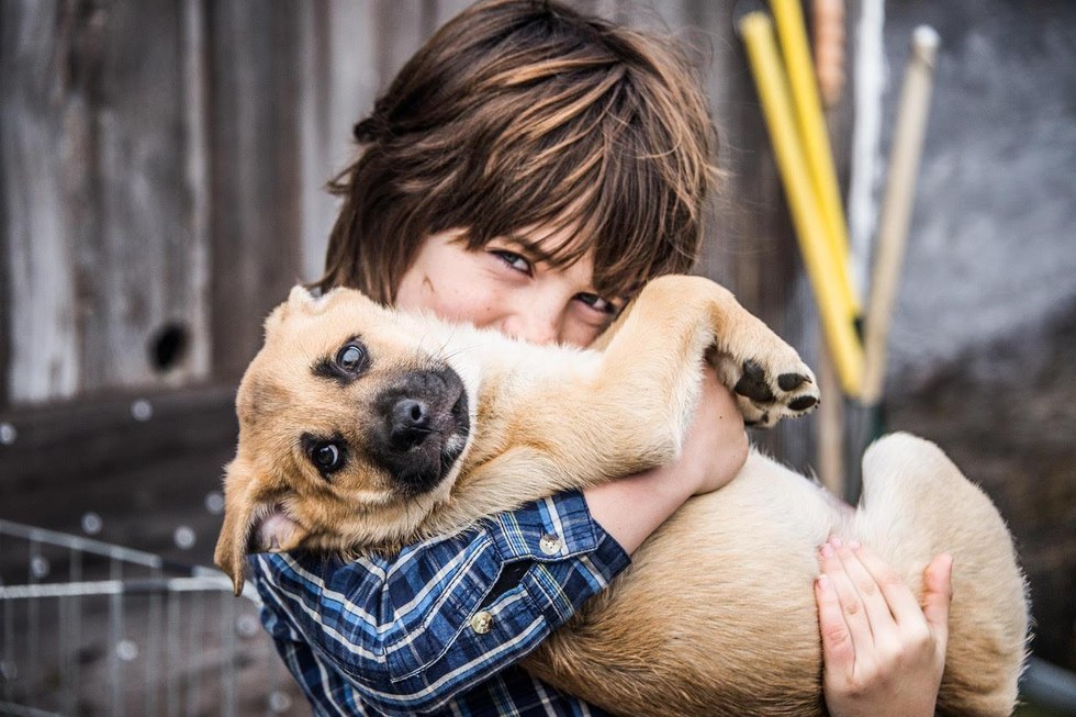 Спаси собаку можно. Дети с бездомными животными. Люди с бездомными животными. Любовь к животным. Бездомные животные и человек.