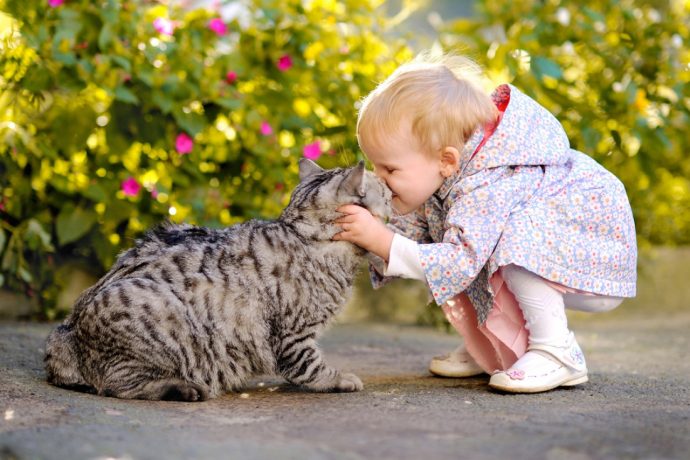 девочка целует полосатого кота