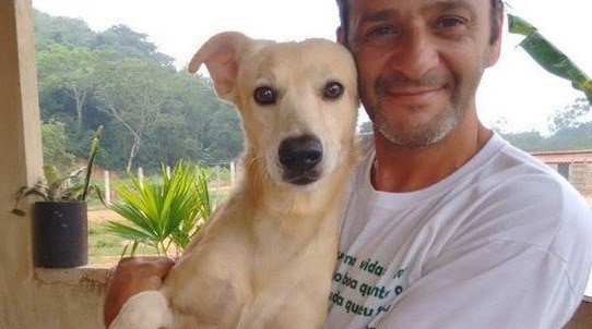 Нет таких ран, за которые он бы не взялся! Защитник животных из Бразилии спас безнадёжного щенка ) рис 8