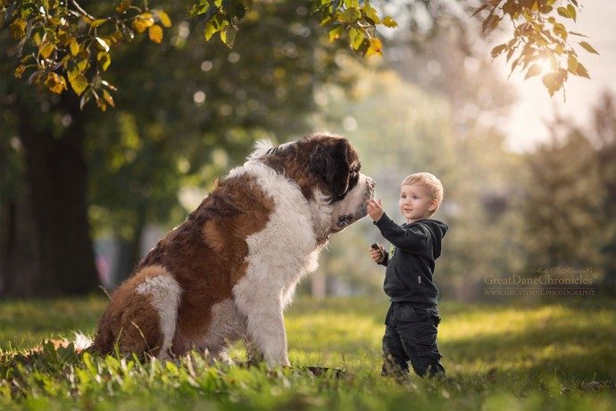 "Маленькие дети и их большие собаки!" Потрясающая фотосессия из России) рис 5