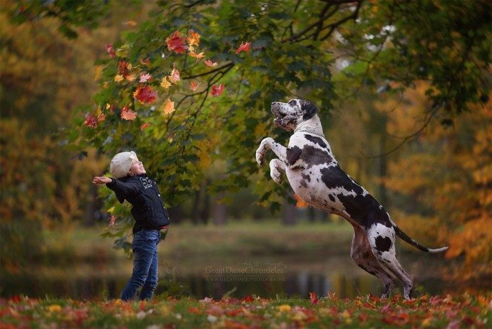 "Маленькие дети и их большие собаки!" Потрясающая фотосессия из России) рис 4