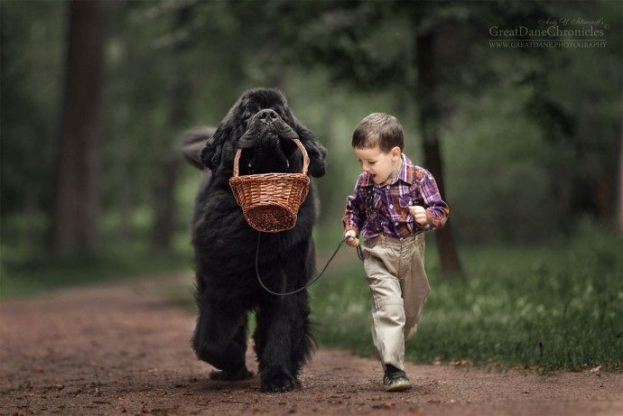 "Маленькие дети и их большие собаки!" Потрясающая фотосессия из России) рис 2