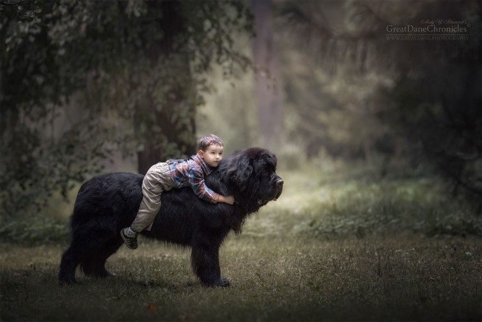 "Маленькие дети и их большие собаки!" Потрясающая фотосессия из России) рис 6