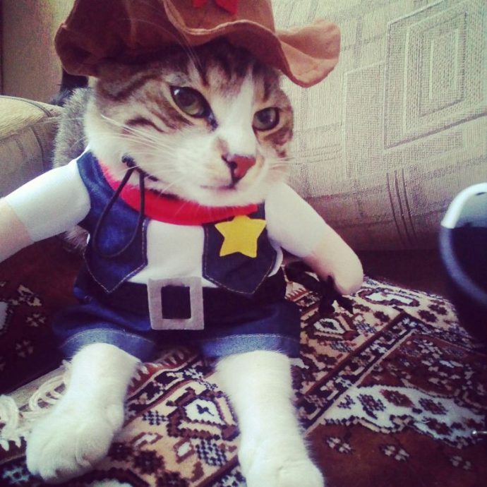 Funny Fashion Pet Dog Cat Clothes Costume