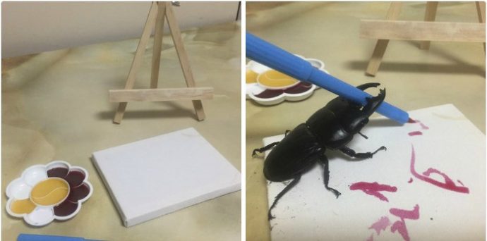 drawing-bug-spike-the-beetle-japan-24-59b8df31e4d31__700