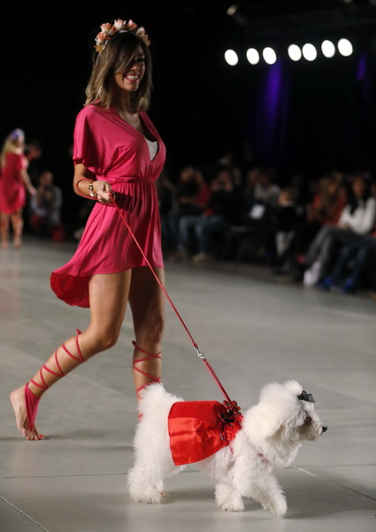 A model walks with a dog presenting a creation by designers Reichardt and Schiavo during the so-called "2013 Spring-Summer Caribbean Colour Paws" show in Buenos Aires