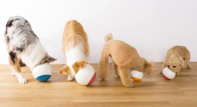 oppo-foodball-dog-feeder-that-slows-eating-1