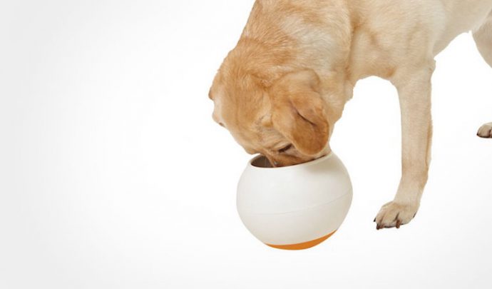 the-oppo-food-ball-slows-down-your-dogs-eating-2118