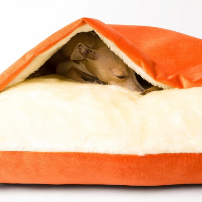 Charley Chau Snuggle Bed in Velour рис 5