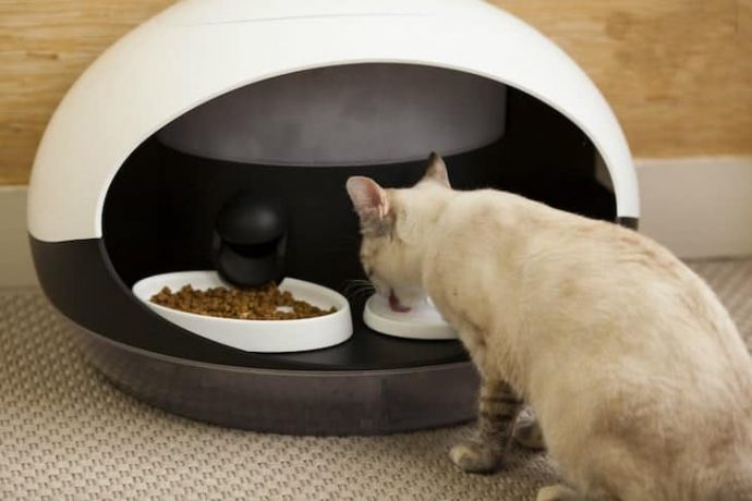 catspad-is-a-smart-food-and-water-dispenser-for-cats-004