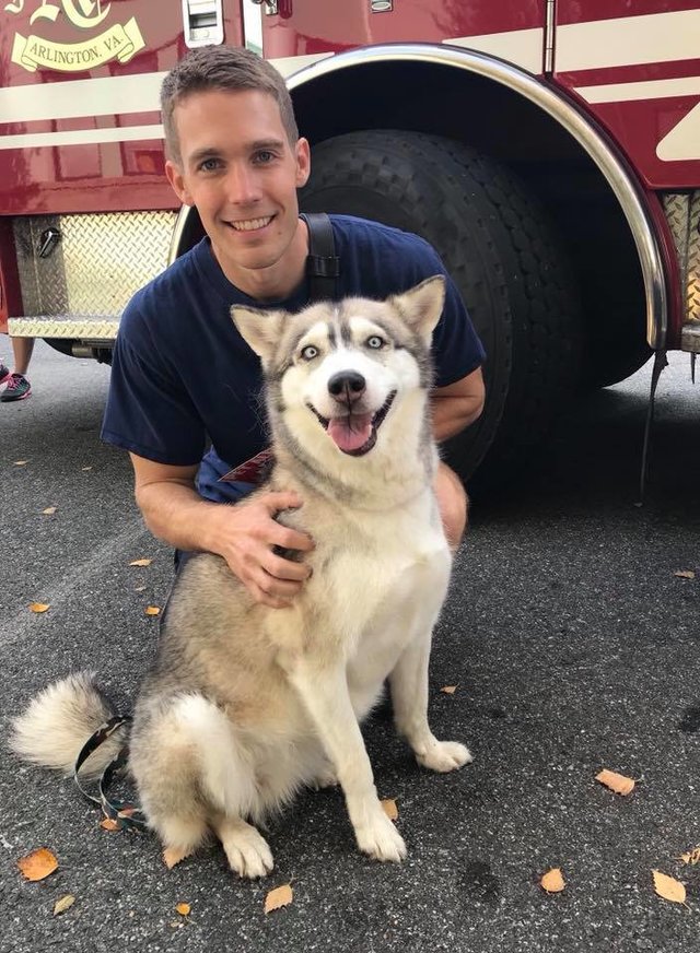firefighters-walk-shelter-dogs1