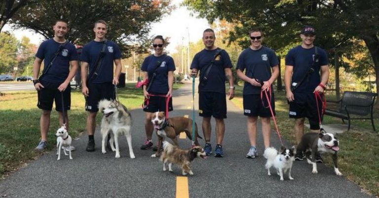 firefighters-walk-shelter-dogs2