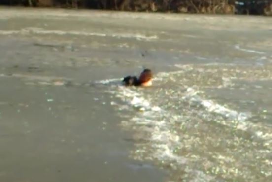 man-jumpos-in-frozen-lake-to-save-dog-9