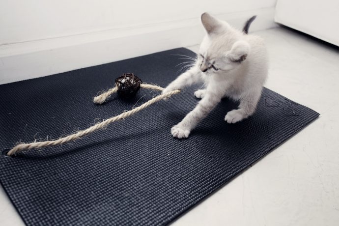 Feline-Yogi-Cat-Yoga-Mat-05