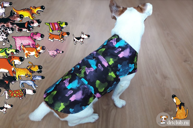 Японец, мечтавший превратиться в собаку, купил костюм колли за 16 000 долларов
