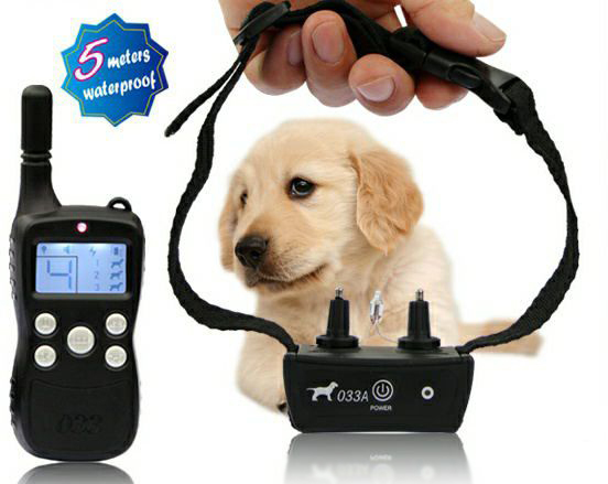 Электрошоковый ошейник – ПЫТКА для вашей собаки! Вся правда о том, как работает это "украшение"
