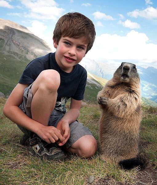 "Мои друзья - сурки!" Потрясающая фото-история сказочной дружбы мальчика и альпийских сурков :) рис 10