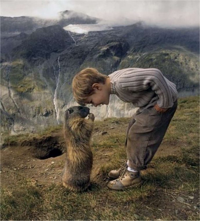 "Мои друзья - сурки!" Потрясающая фото-история сказочной дружбы мальчика и альпийских сурков :) рис 9