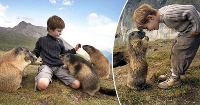 "Мои друзья - сурки!" Потрясающая фото-история сказочной дружбы мальчика и альпийских сурков :)