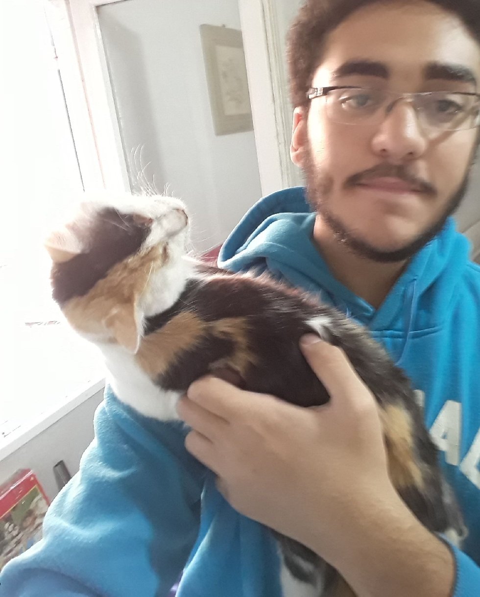 "Я открыл её глаза - там ничего не было!" Мужчина из Египта подобрал на лестнице слепого котёнка... рис 4