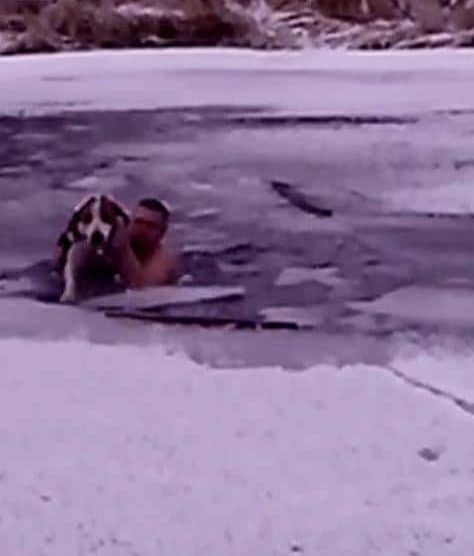 "Ледокол по имени Сергей!" Провалившись в воду, он крушил лёд руками, чтобы добраться до пса...