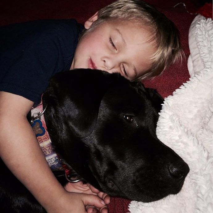 dog-saves-little-boy-middle-of-night-2