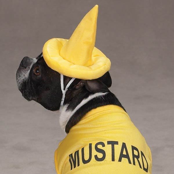mustard1.jpg