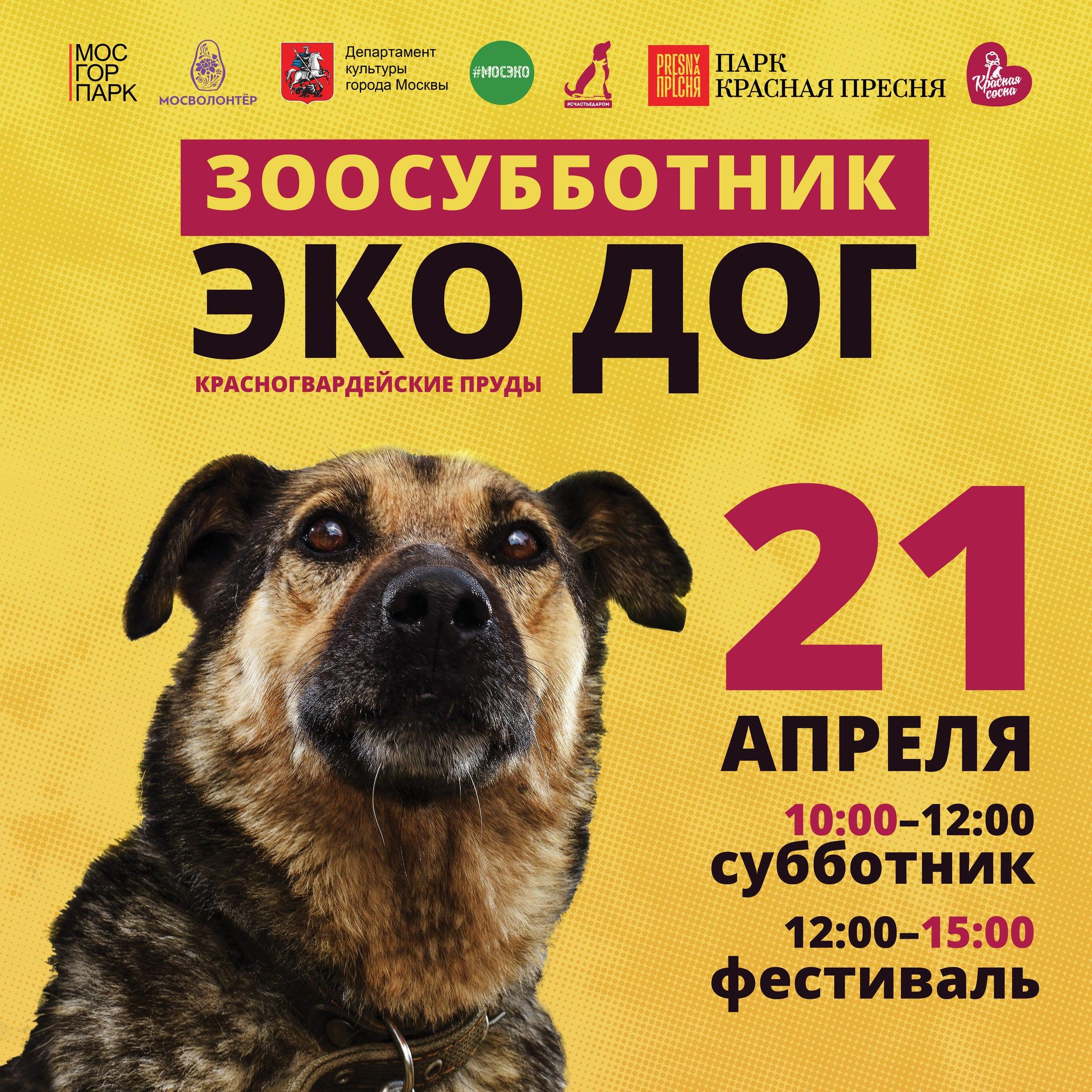 Это интересно! 21 апреля в Москве состоится Зоосубботник и фестиваль собак «Эко дог»