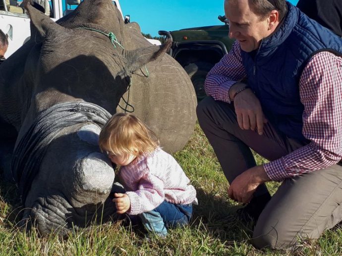 "Папа, не обижай его!" Девочка в слезах целует отпиленный рог носорога... Но есть утешение! рис 2