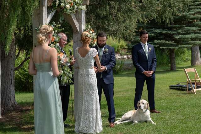 пес на свадьбе у хозяина
