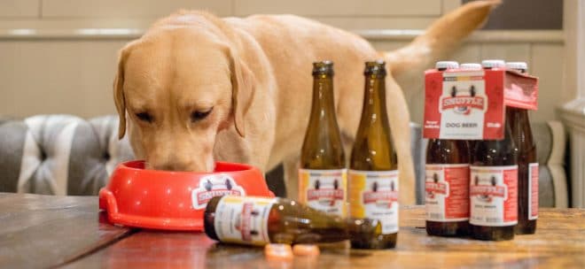 пес с пивом