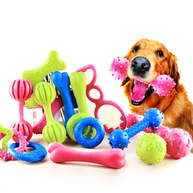 игрушки для собаки