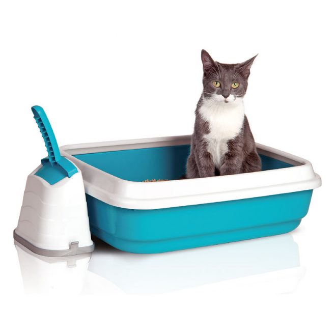 Туалеты-домики для кошек: особенности, виды, советы по выбору и размещению