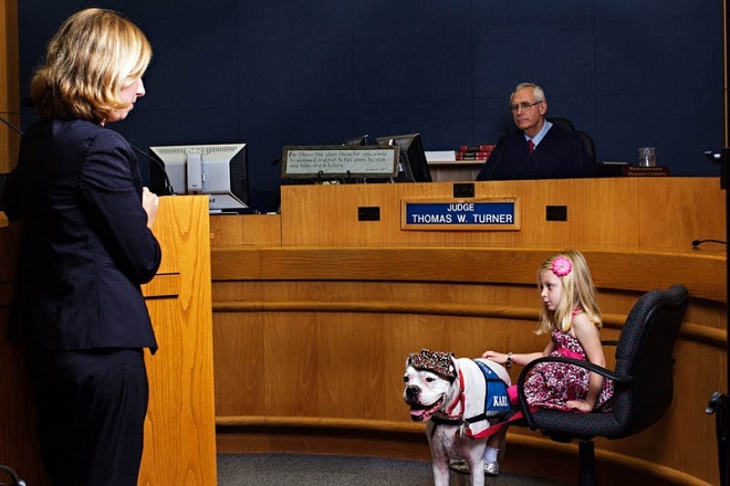 Собака с девочкой в суде