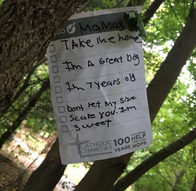 Записка на дереве