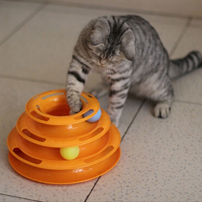 Кот играет шариком