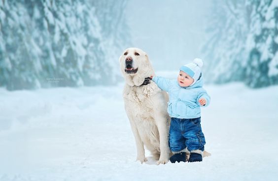 собака и ребенок гуляют