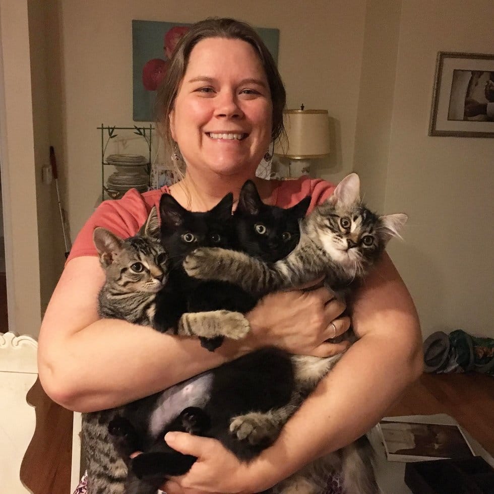 женщина держит четырех котов